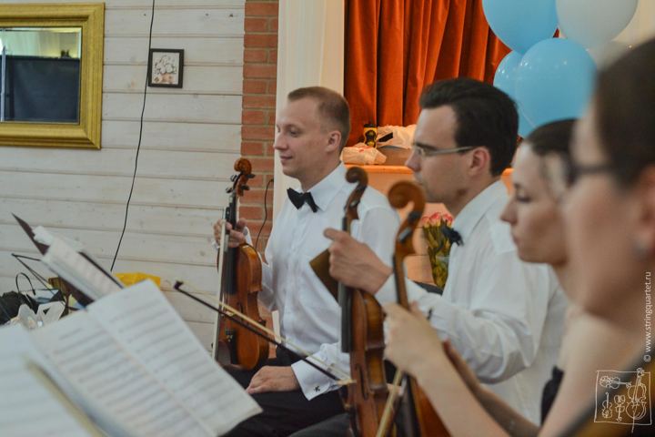 Скрипачи крупным планом